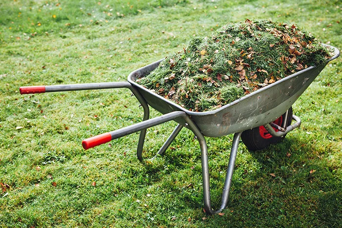 Schubkarre mit Gartenabfällen auf Rasen